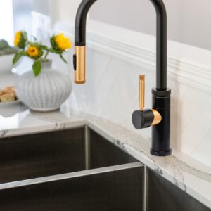 Kitchen Faucets